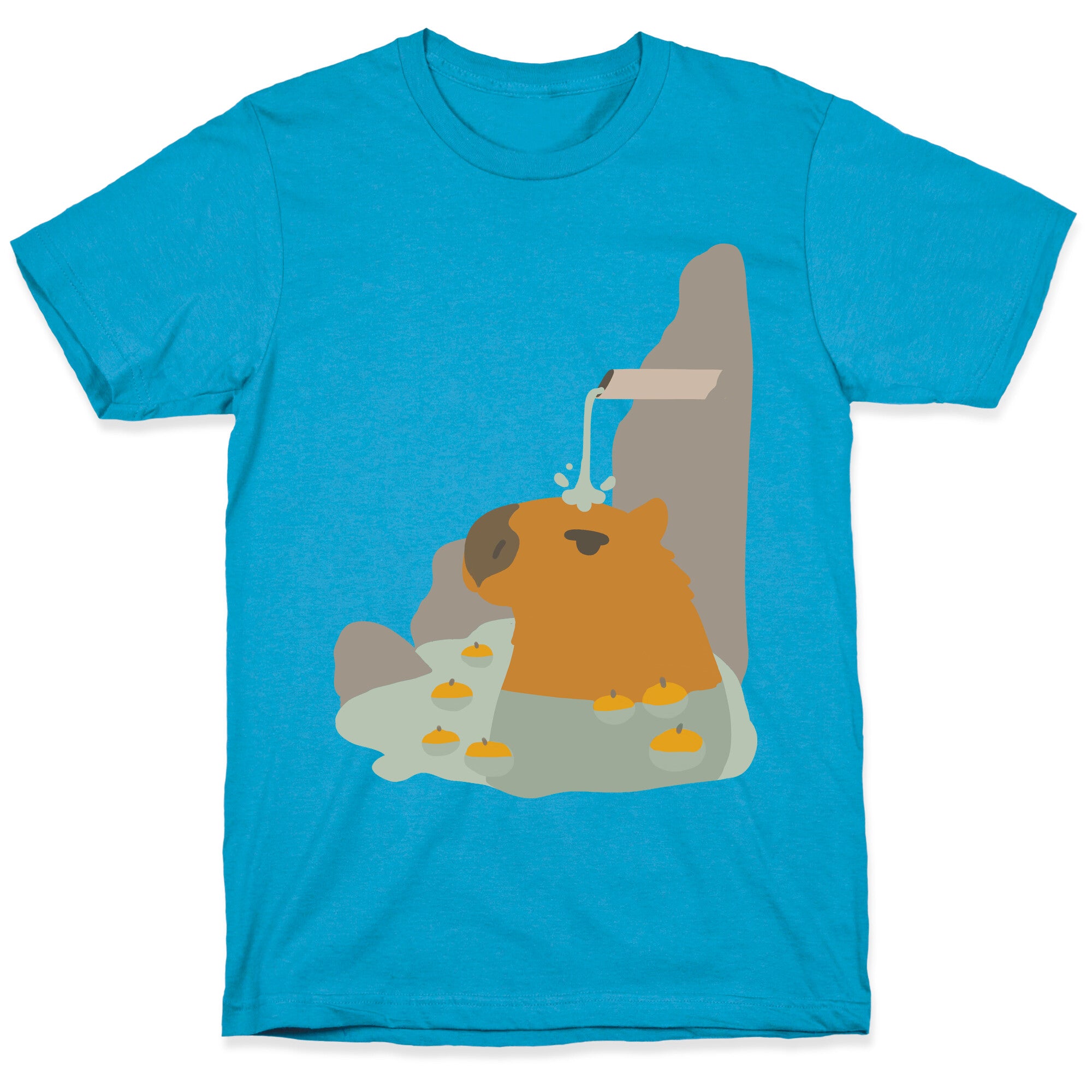 Capybara Hot Spring Unisex Triblend Tee